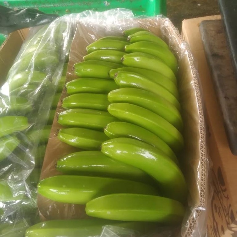 Banano Cavendish Premium