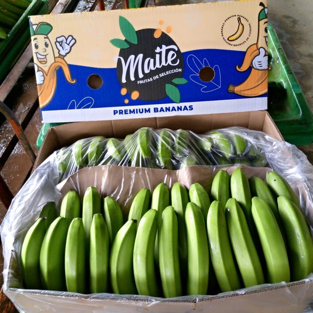 Banano Cavendish Premium