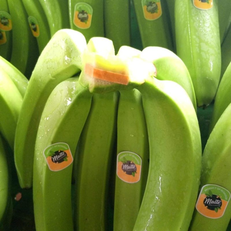 Banano Cavendish Premium