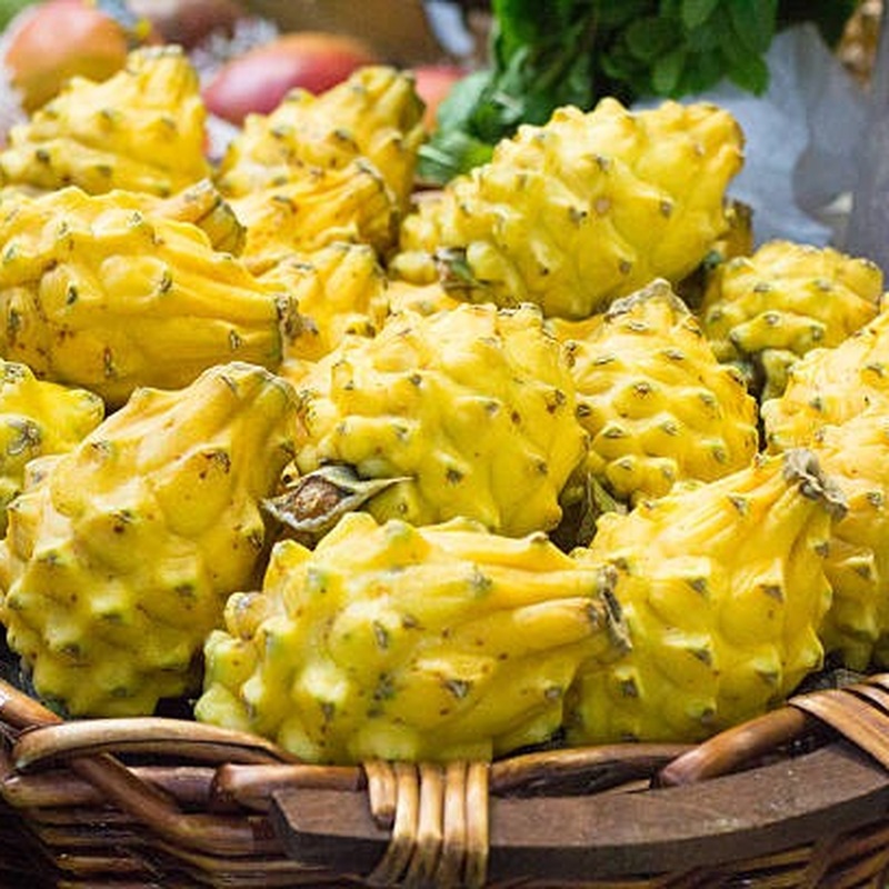 Pitahaya Amarilla de Palora (Yellow Dragon)