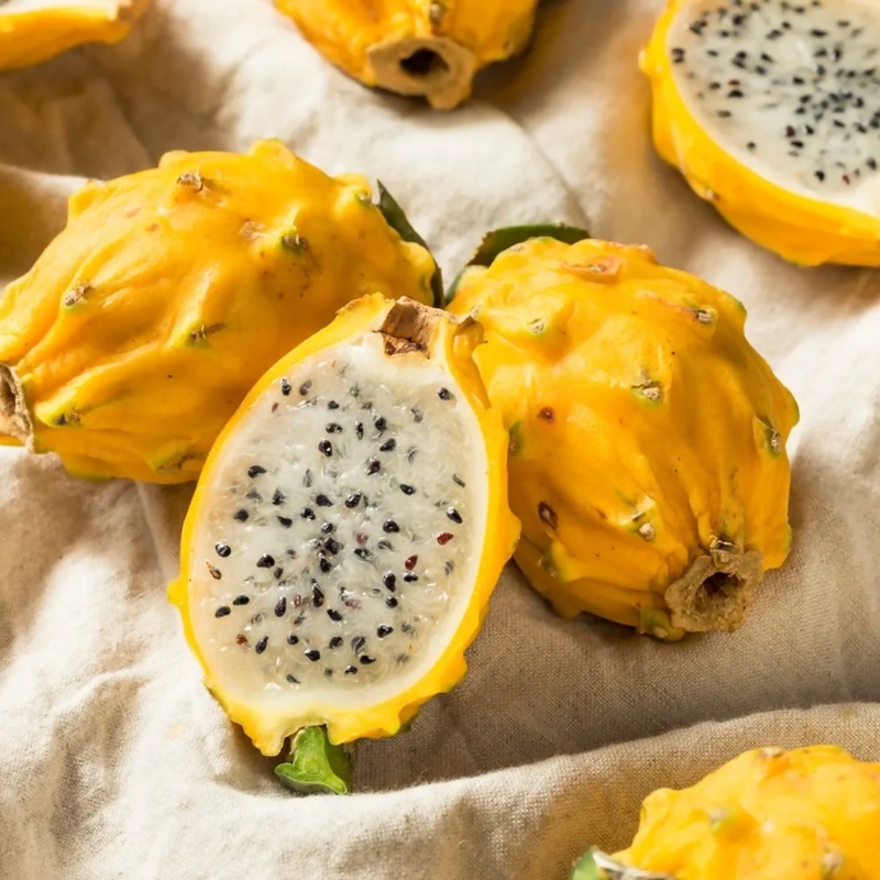 Pitahaya Amarilla de Palora (Yellow Dragon)