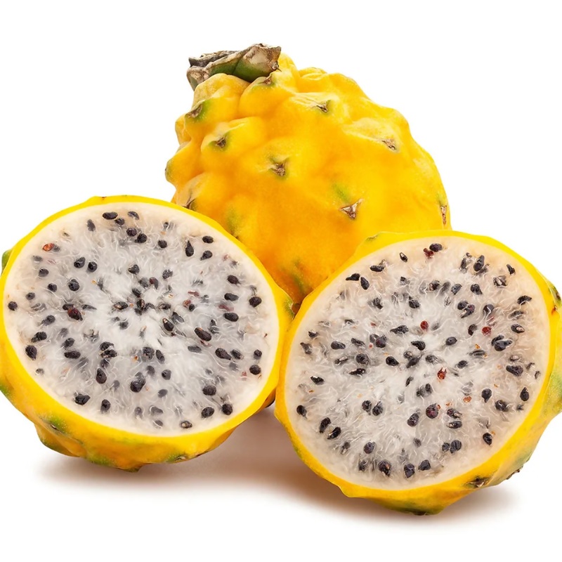 Pitahaya Amarilla de Palora (Yellow Dragon)