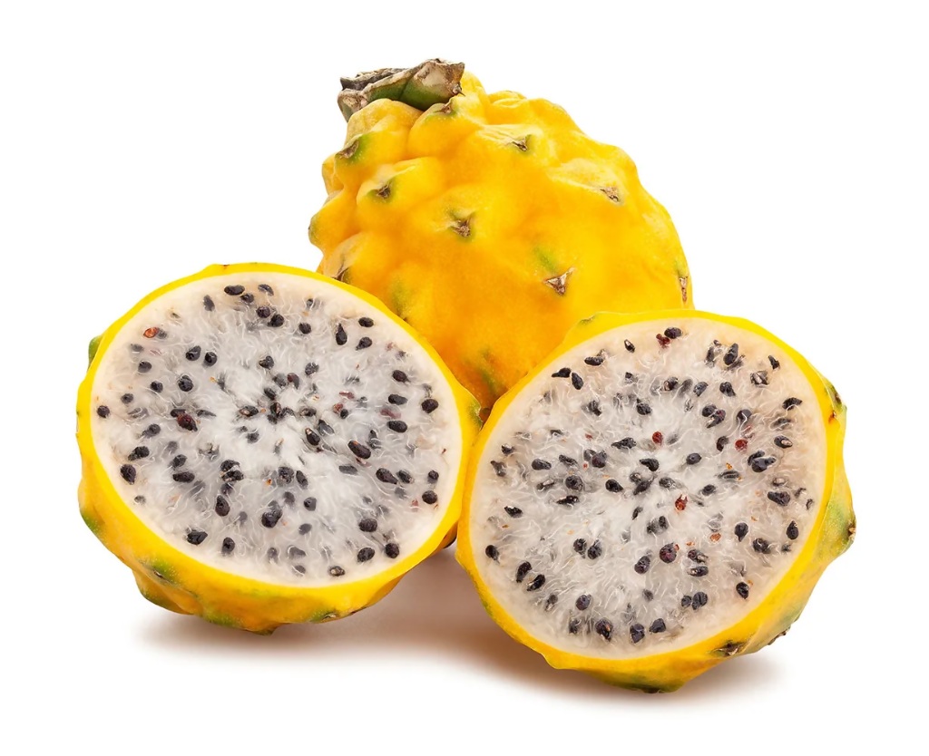 Pitahaya Amarilla de Palora (Yellow Dragon)