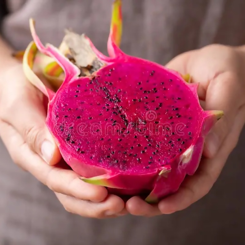 Pitahaya Roja (Red Dragon Fruit)