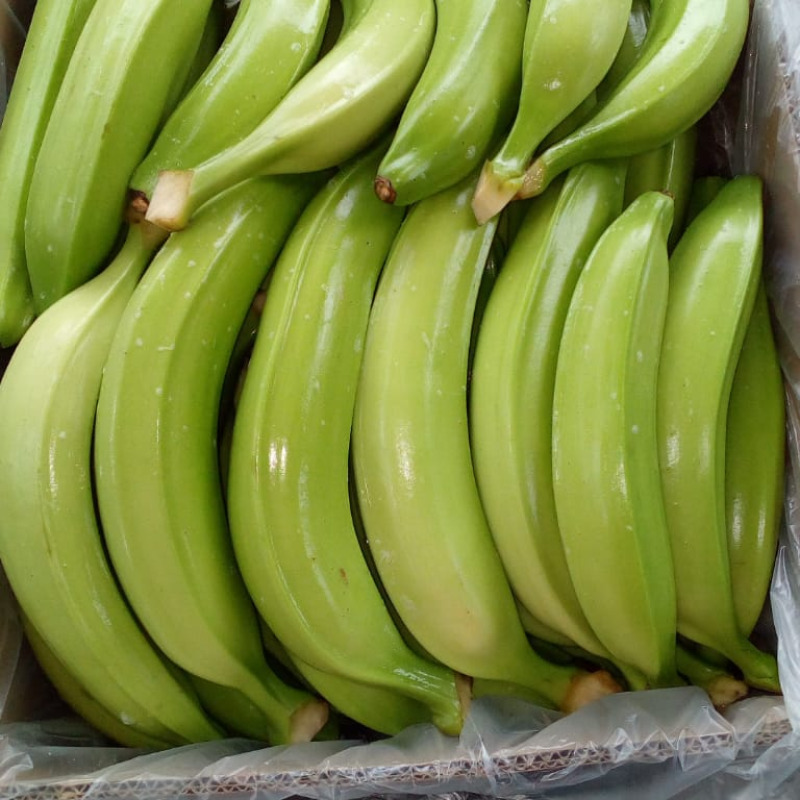 Plátano Verde / Barraganete